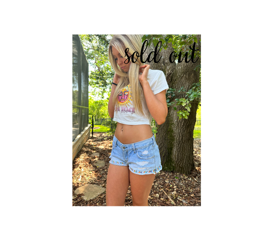 Y2K Style Low Rise Hollister Embroidered Shorts